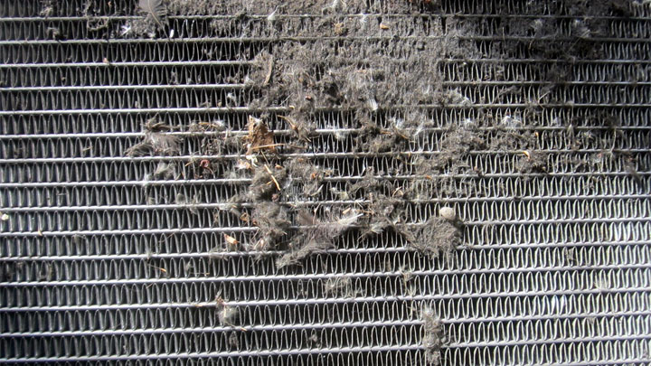 dirty radiator